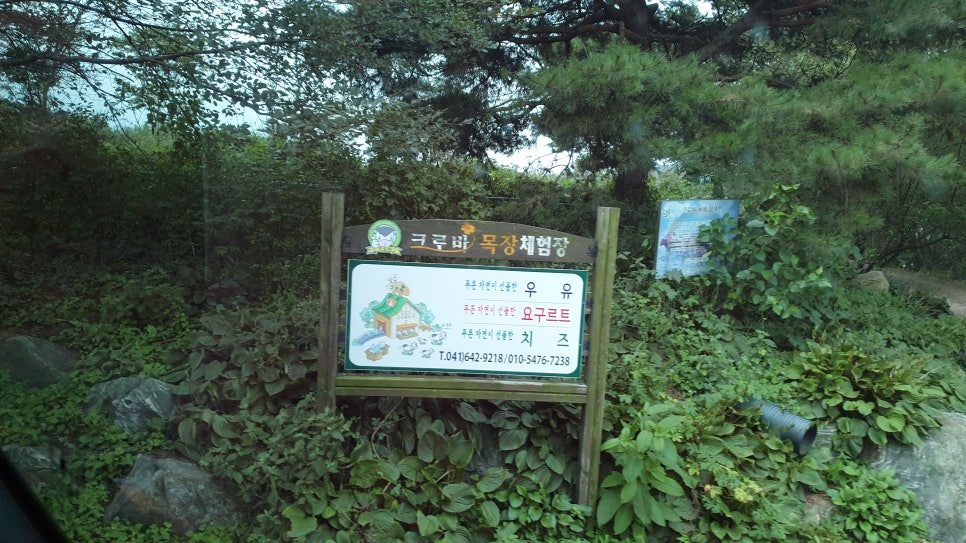 크로바목장체험 이미지