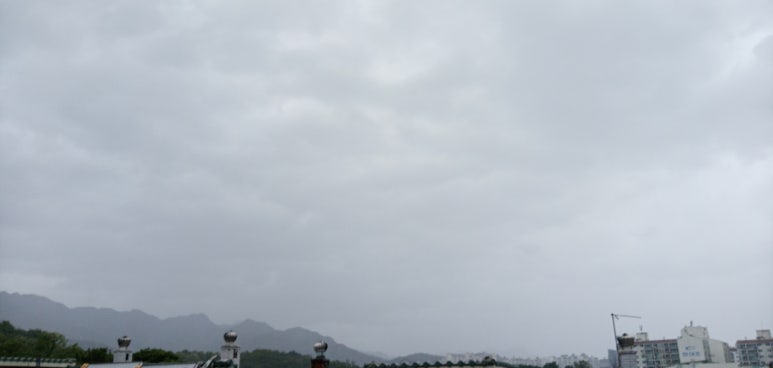주식회사 세찬 이미지