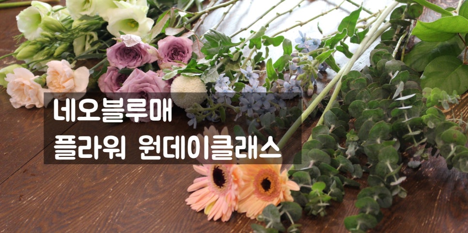 네오타이드 이미지