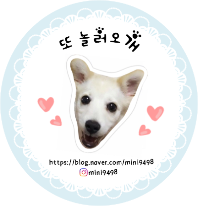 꼴통들의고깃집 이미지
