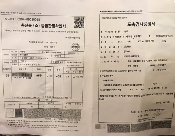 우담채 이미지