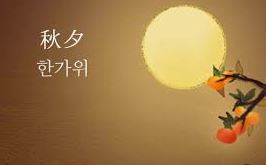 에코넥 이미지
