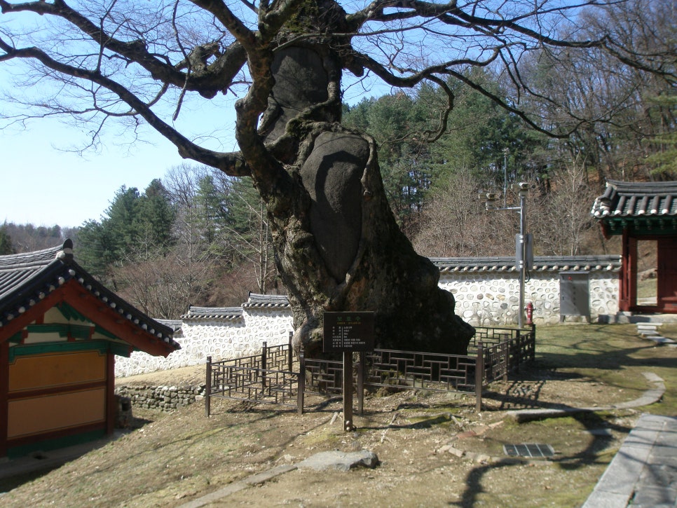 장영훈행정사사무소 이미지