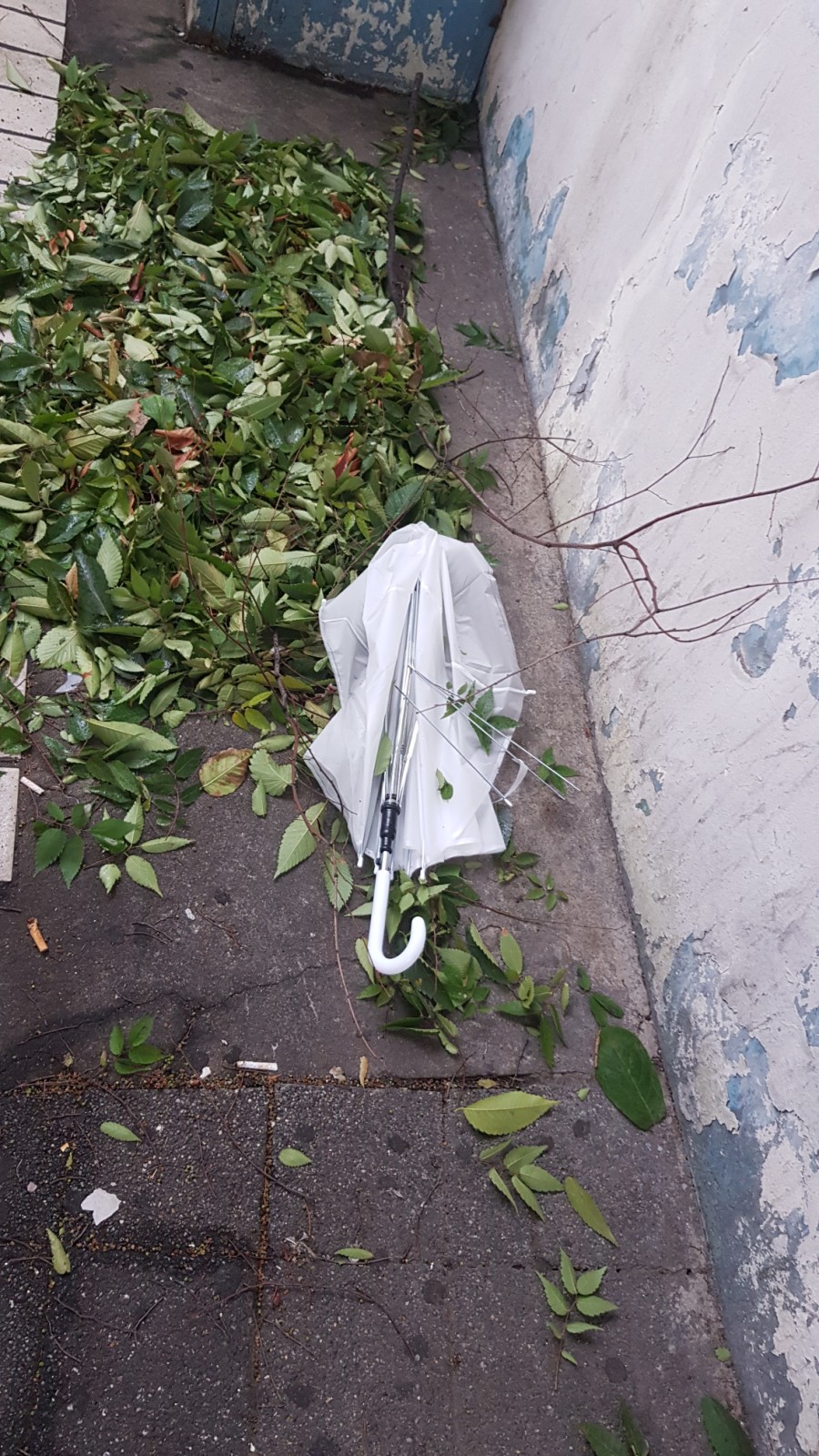 해전수산 이미지