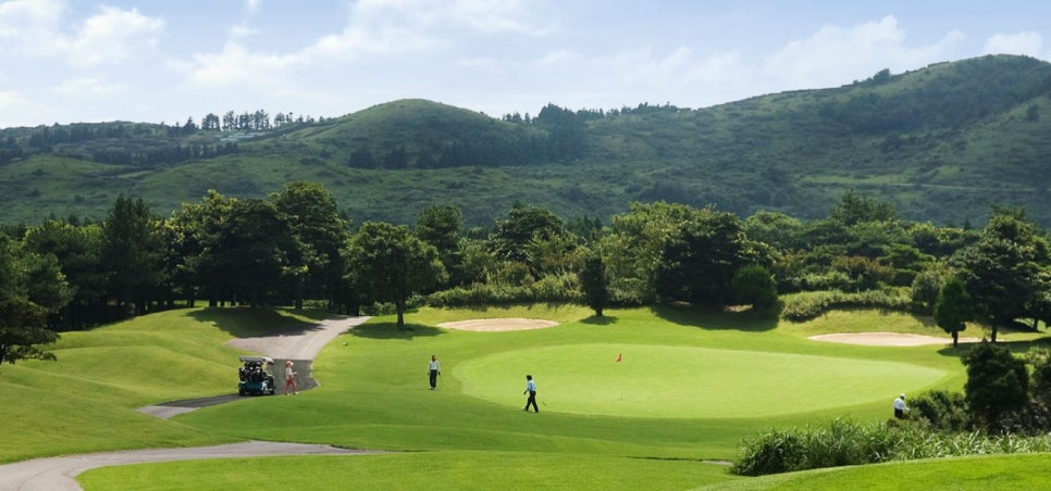 (주)캐슬렉스제주 이미지