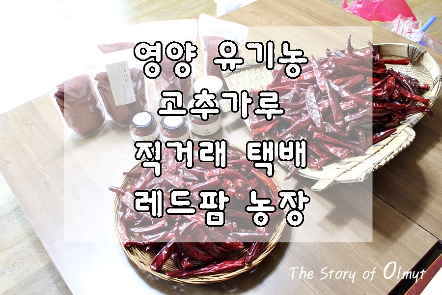 영양레드팜 이미지