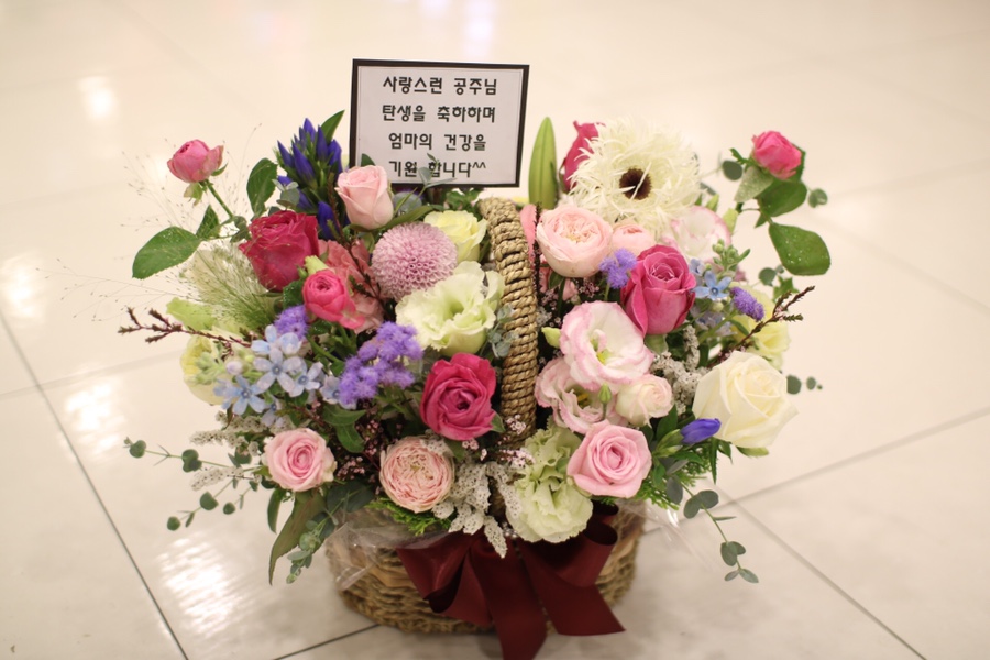 프라자화원 이미지