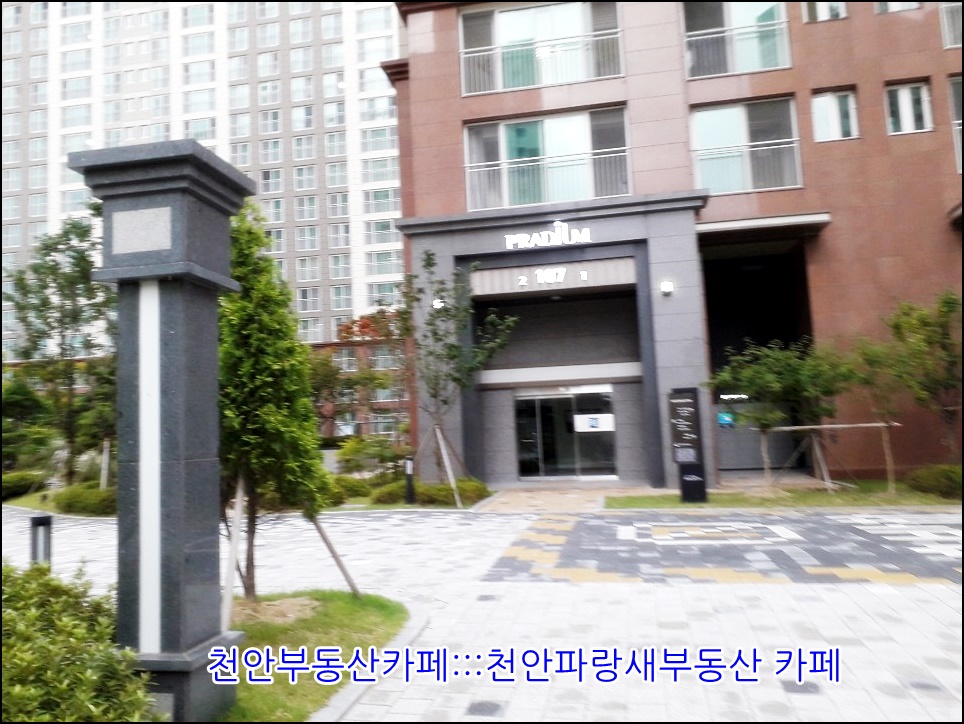 대일부동산 이미지