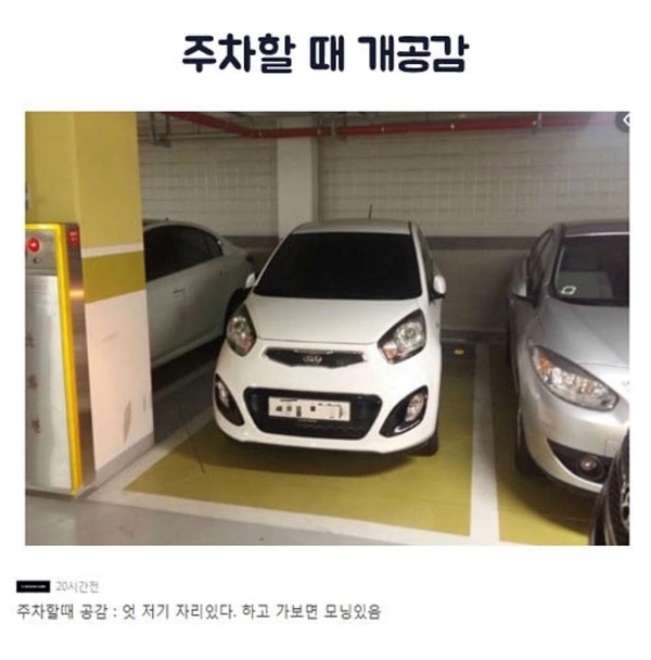 네일올레 이미지