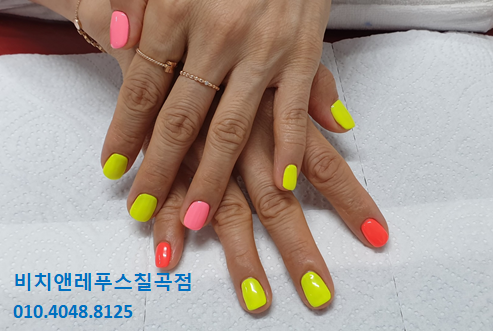 비치앤레푸스 이미지