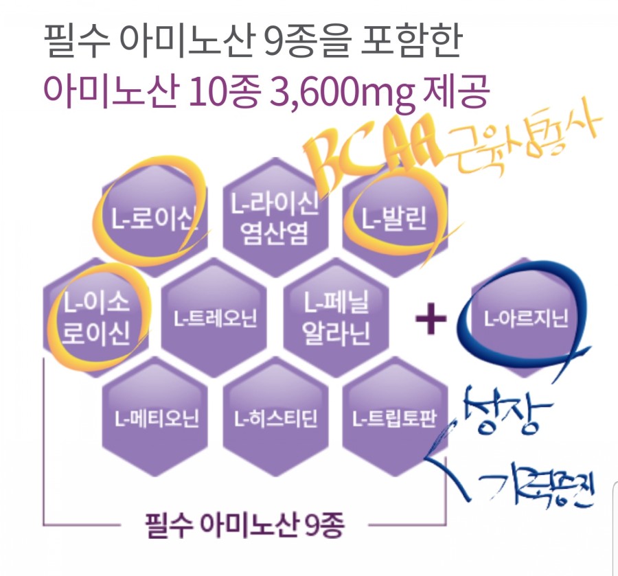 엑스에스 이미지
