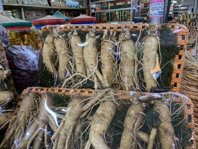 죽림인삼사 이미지