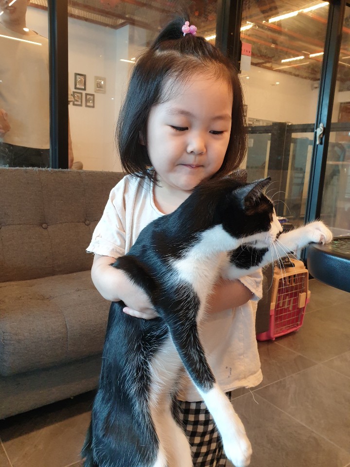 라라쥬카페 이미지