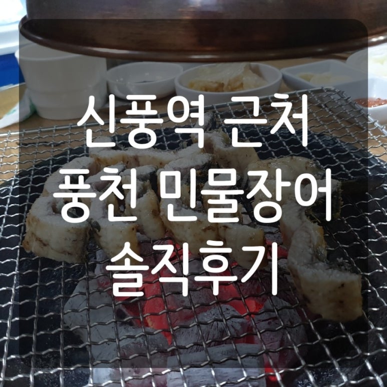 풍천민물장어도소매 이미지