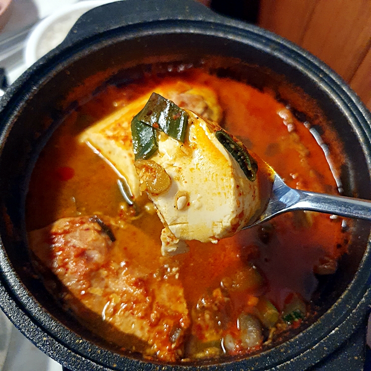 접시고기 이미지