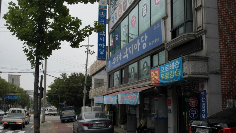 박혜자 낙지마당 이미지