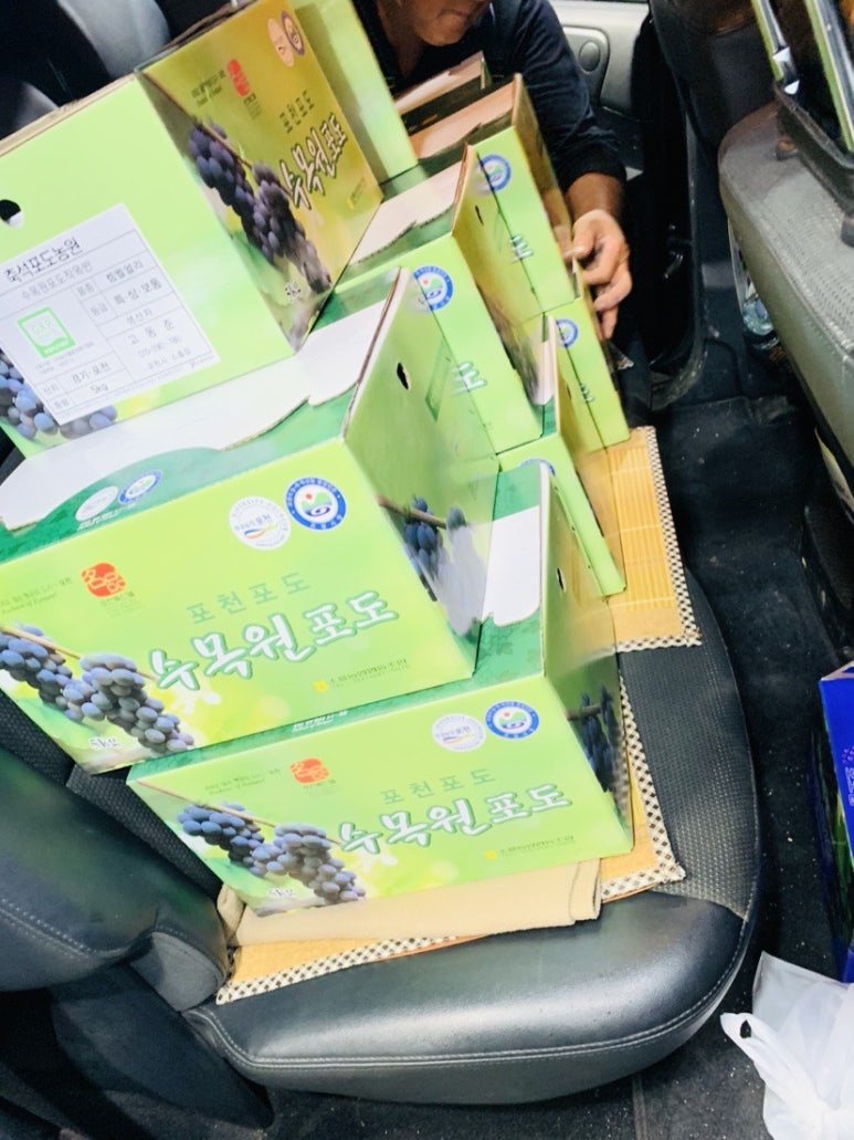 축석포도농원 이미지