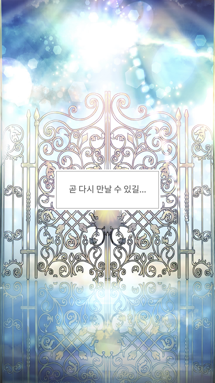 메이비(MAYBE) 이미지