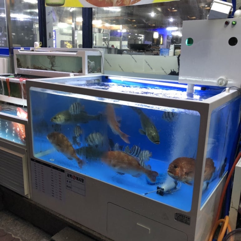 새벽회시장 이미지
