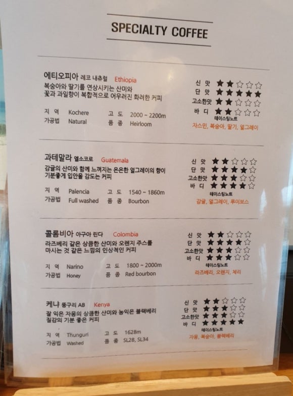 스테이솔 이미지