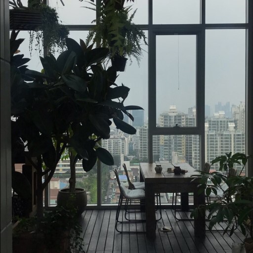 티컬렉티브 이미지