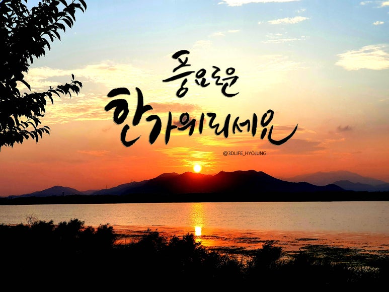 캘리 이미지