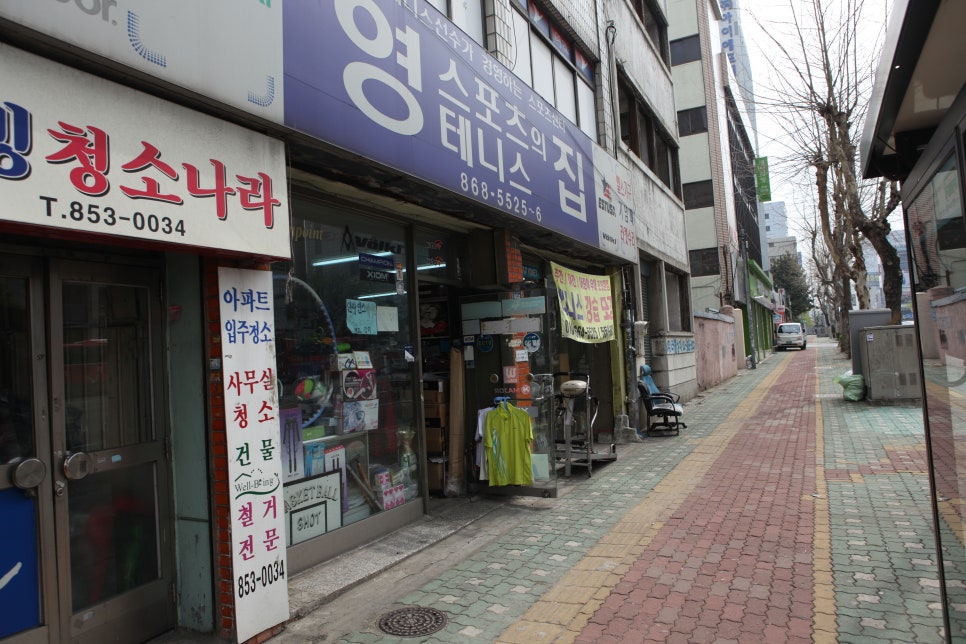 영스포츠 이미지