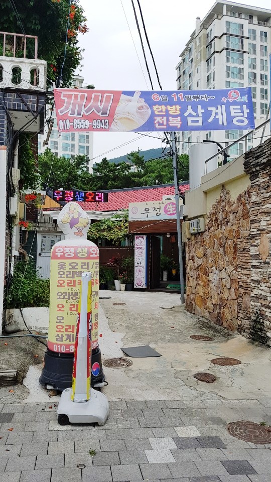 우정생오리 이미지