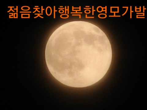 영모가발 이미지