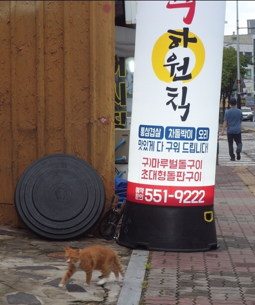 육하원칙청수점 이미지