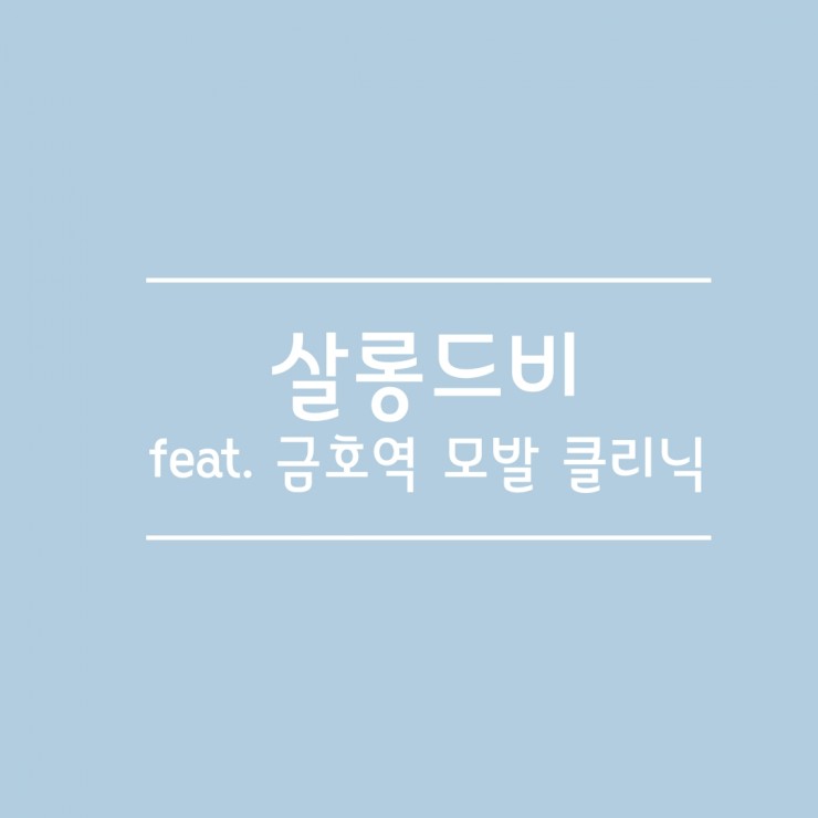 살롱드비 이미지