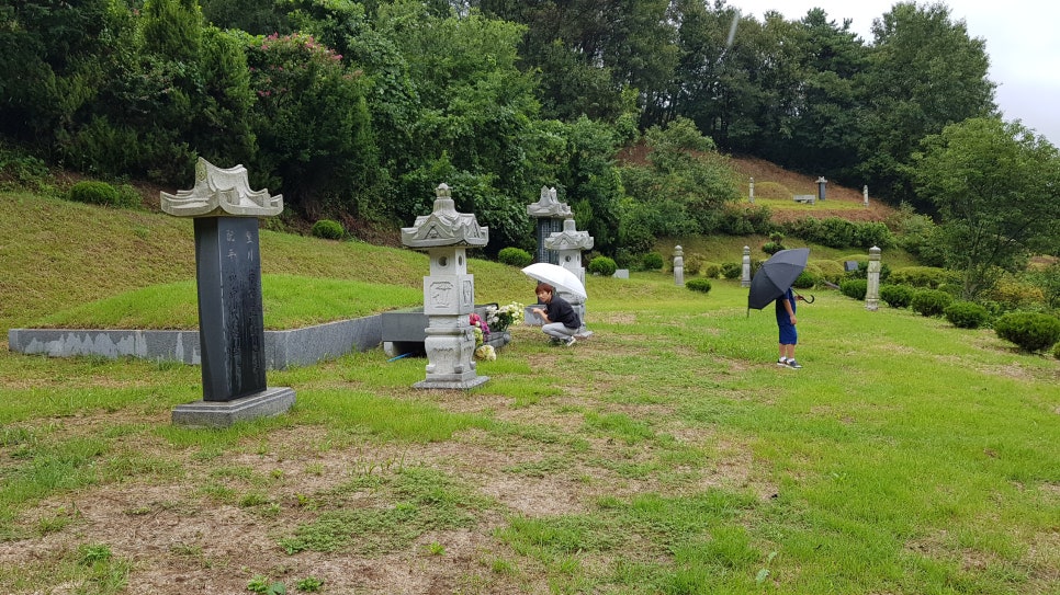 고향펜션캠핑 이미지