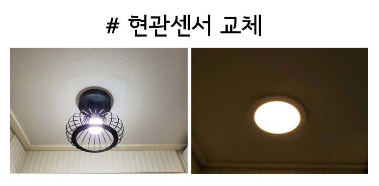 라이프라이팅 이미지