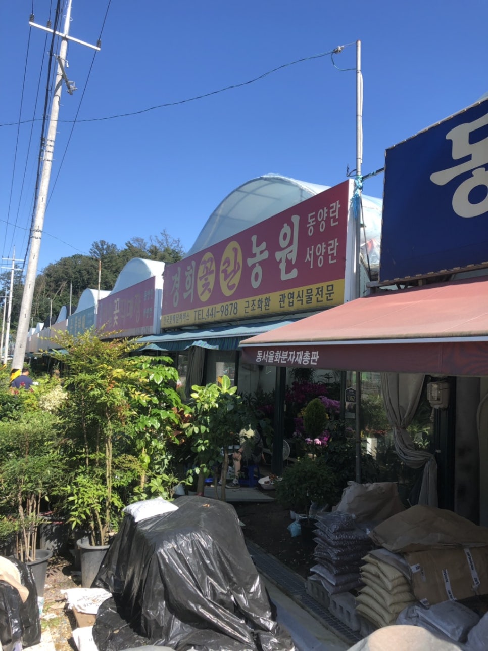 강동꽃농원 이미지