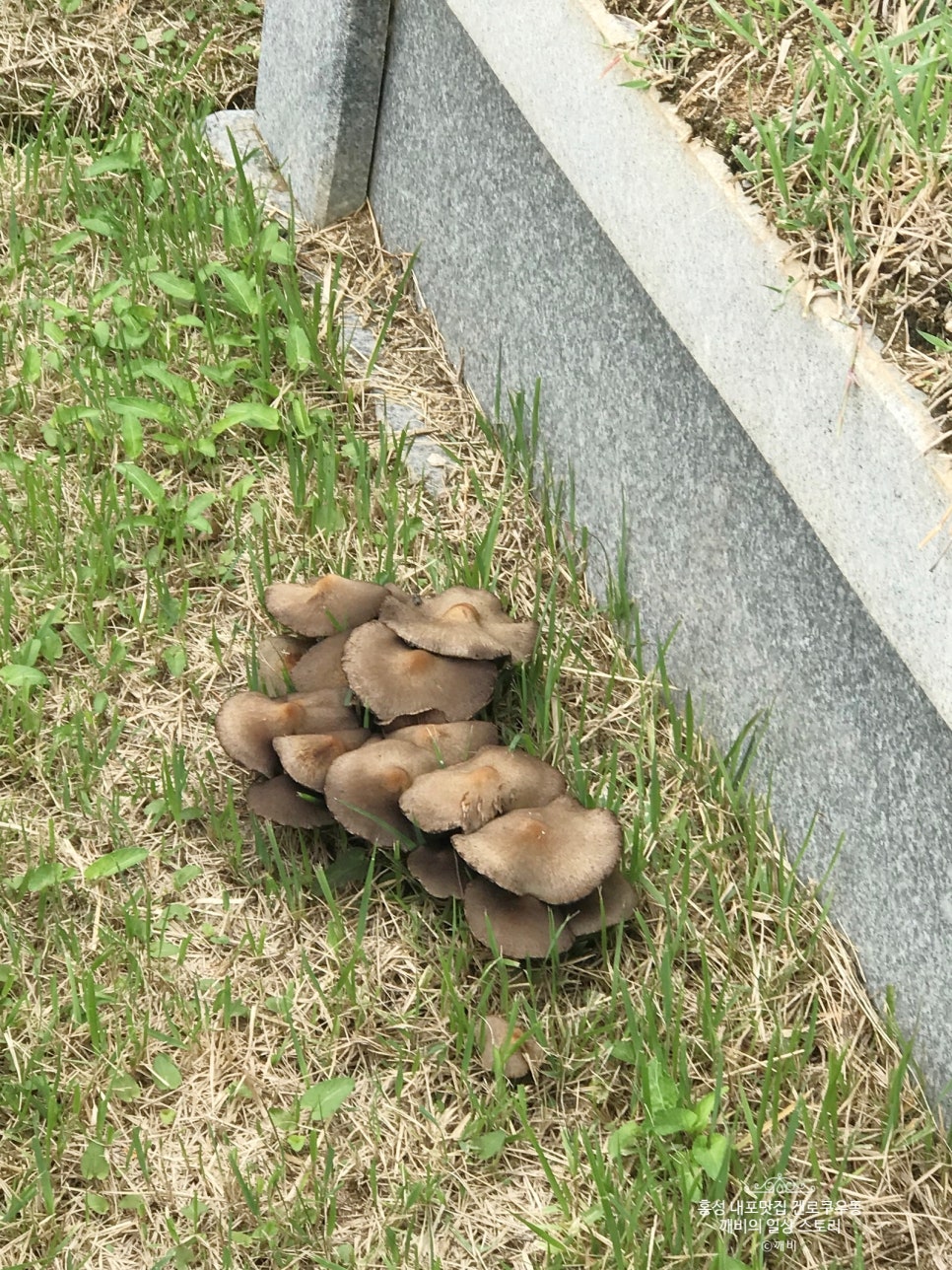 공차내포 이미지