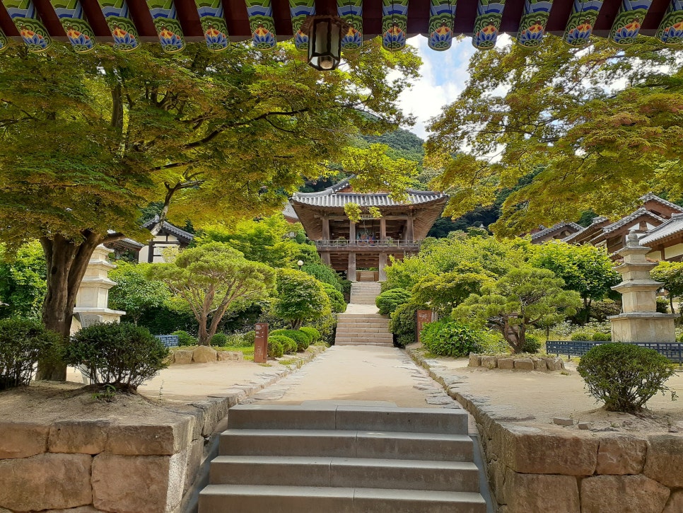풍기고려인삼사 이미지