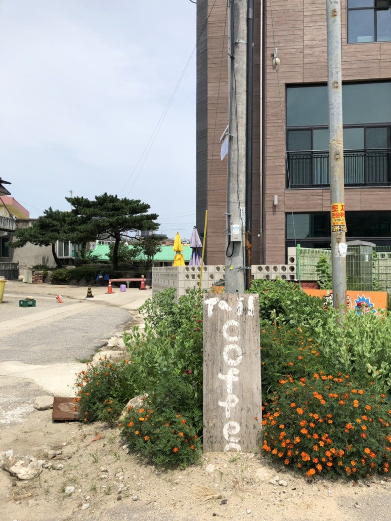 감성커피고성 이미지