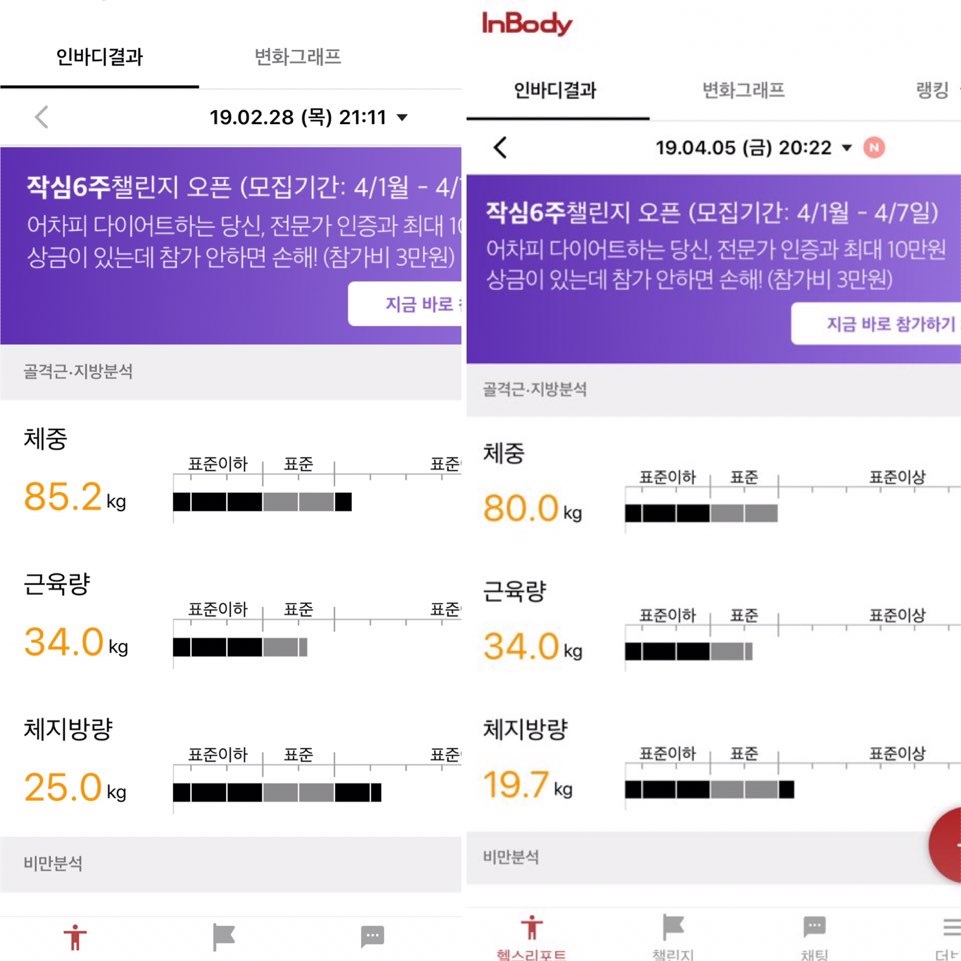 탑독짐 이미지