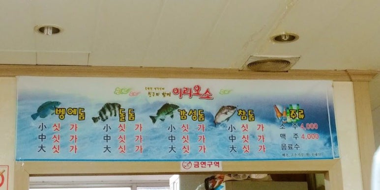 이리오소 이미지