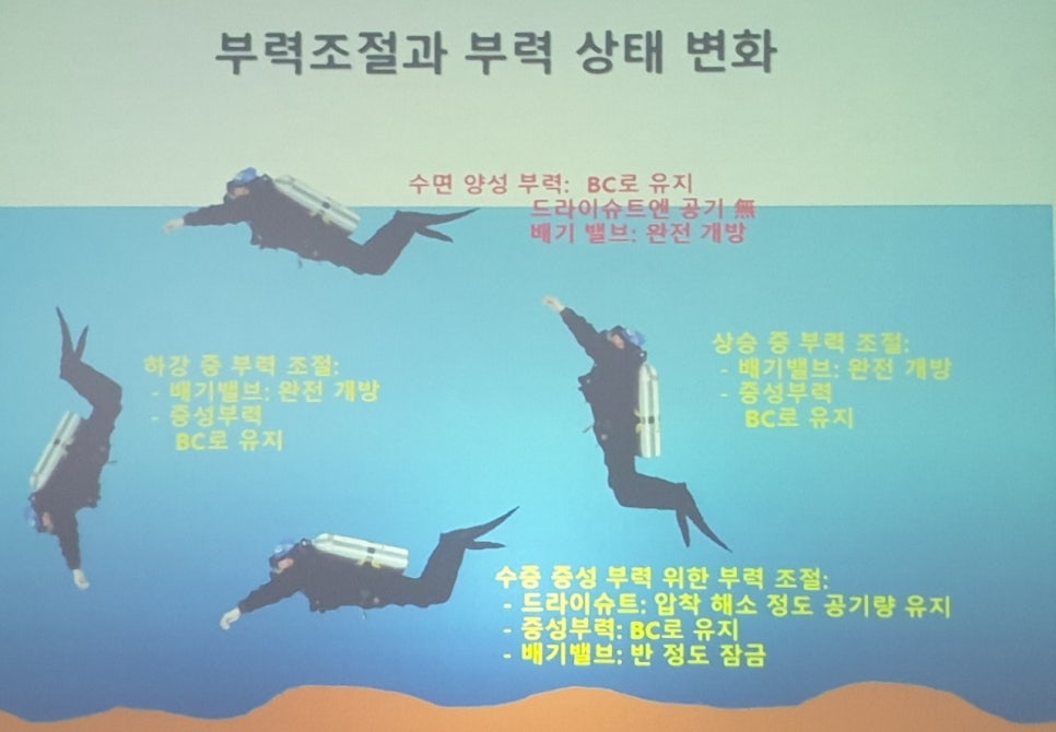 아쿠아 스쿠버 이미지