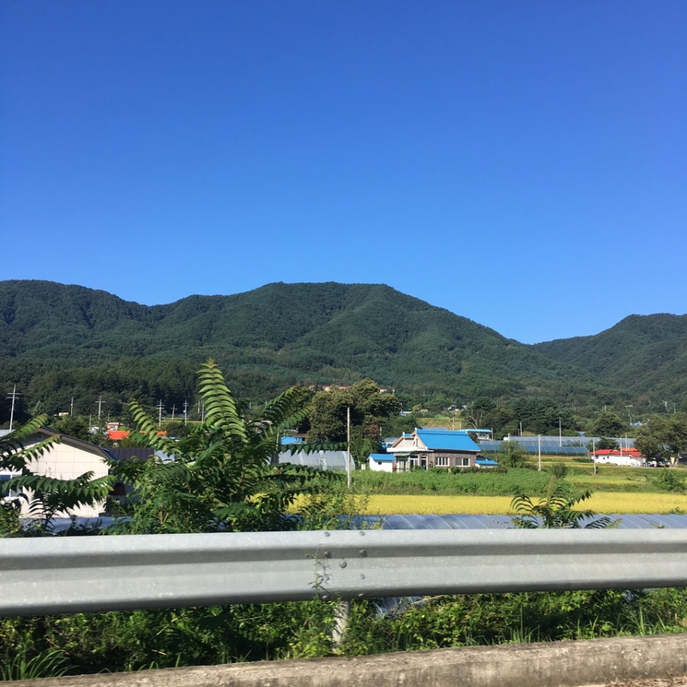 선수촌주유소 이미지