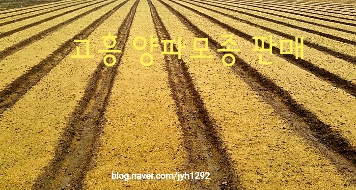 우리농산모종 이미지