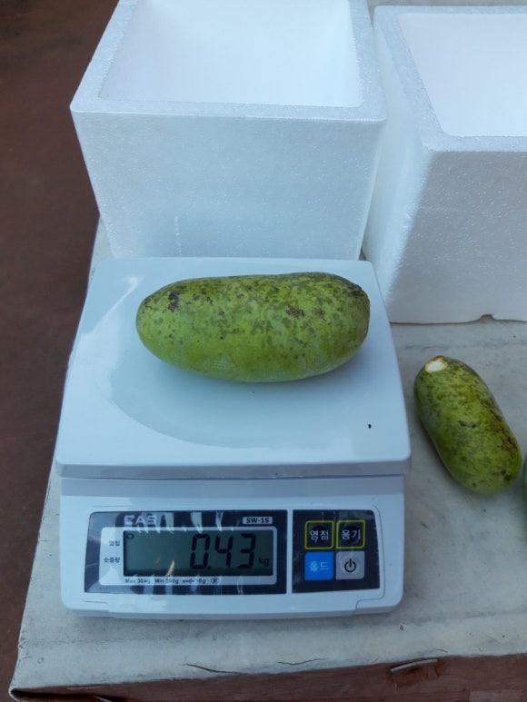 영양엘피지충전소 이미지