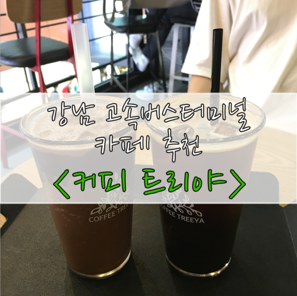 커피트리 이미지