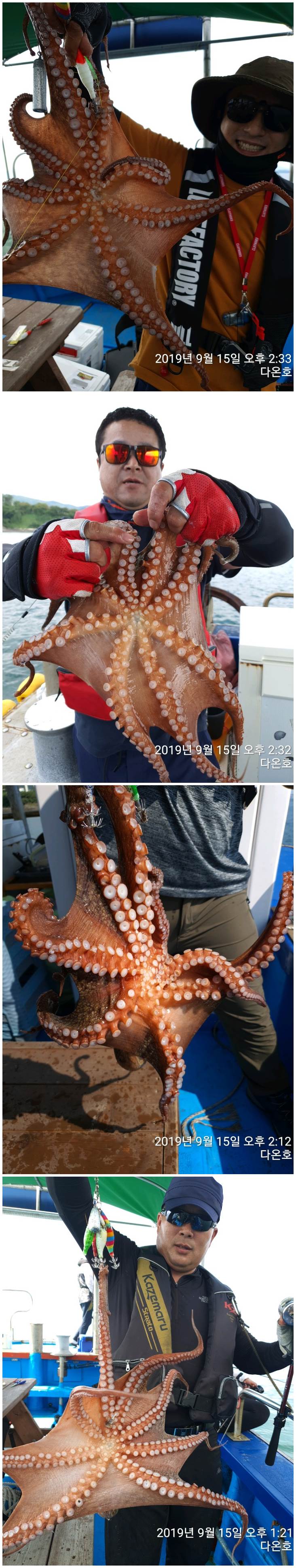 갈도풍력 이미지
