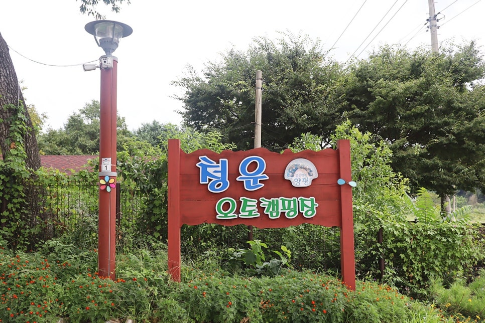 청운오토캠핑장 이미지