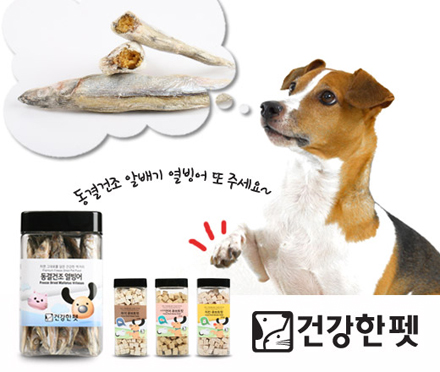 건강한펫 이미지