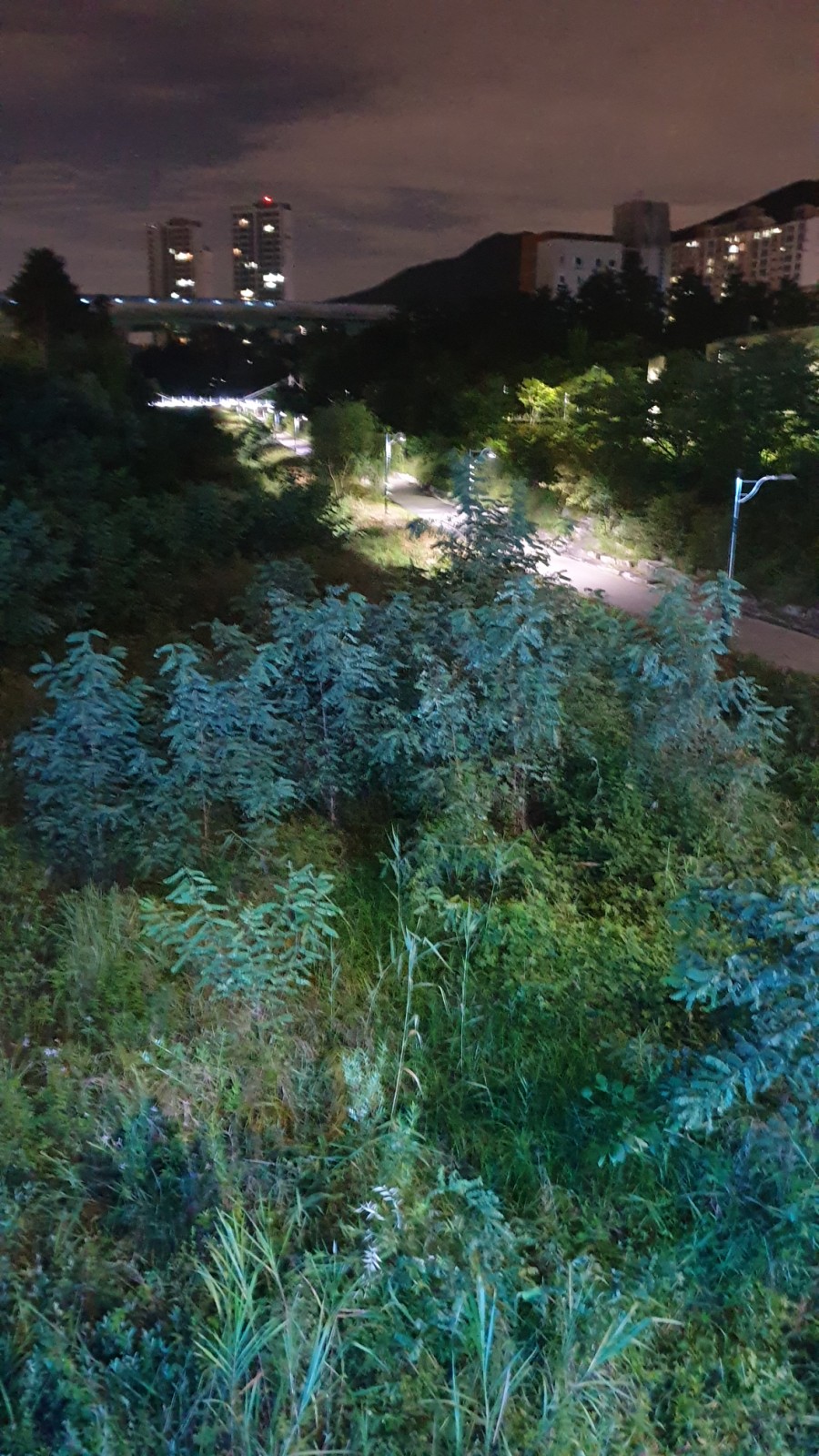 첼로노래연습장 이미지
