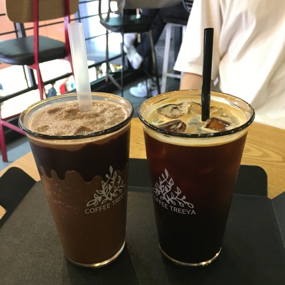 커피트리 이미지