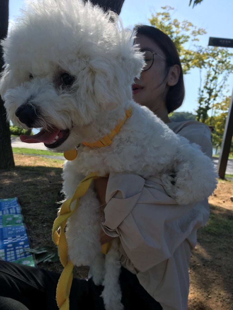본추자횟집 이미지